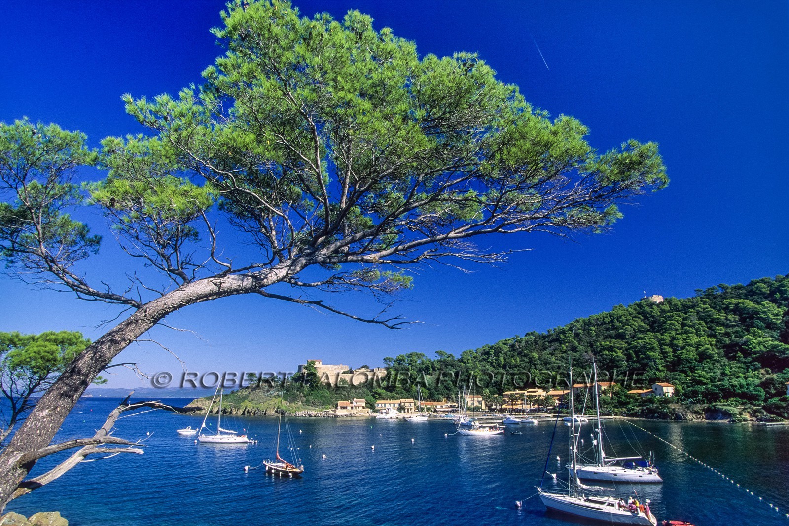 .Port-Cros