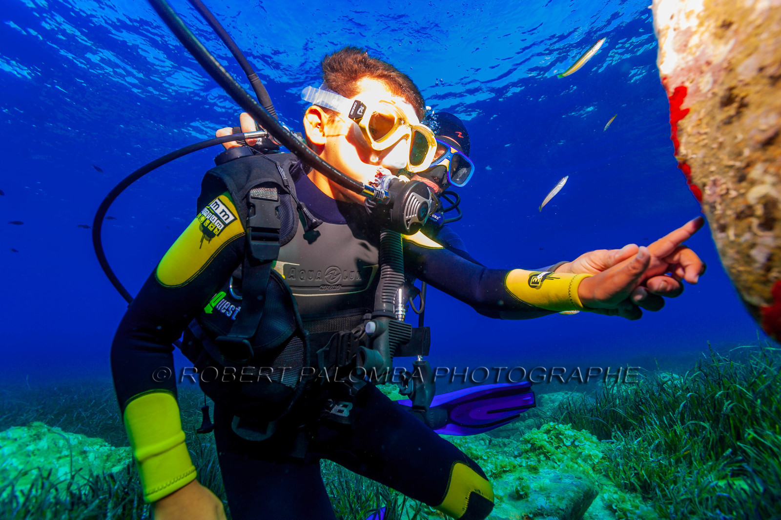 Plongée-sous-marine