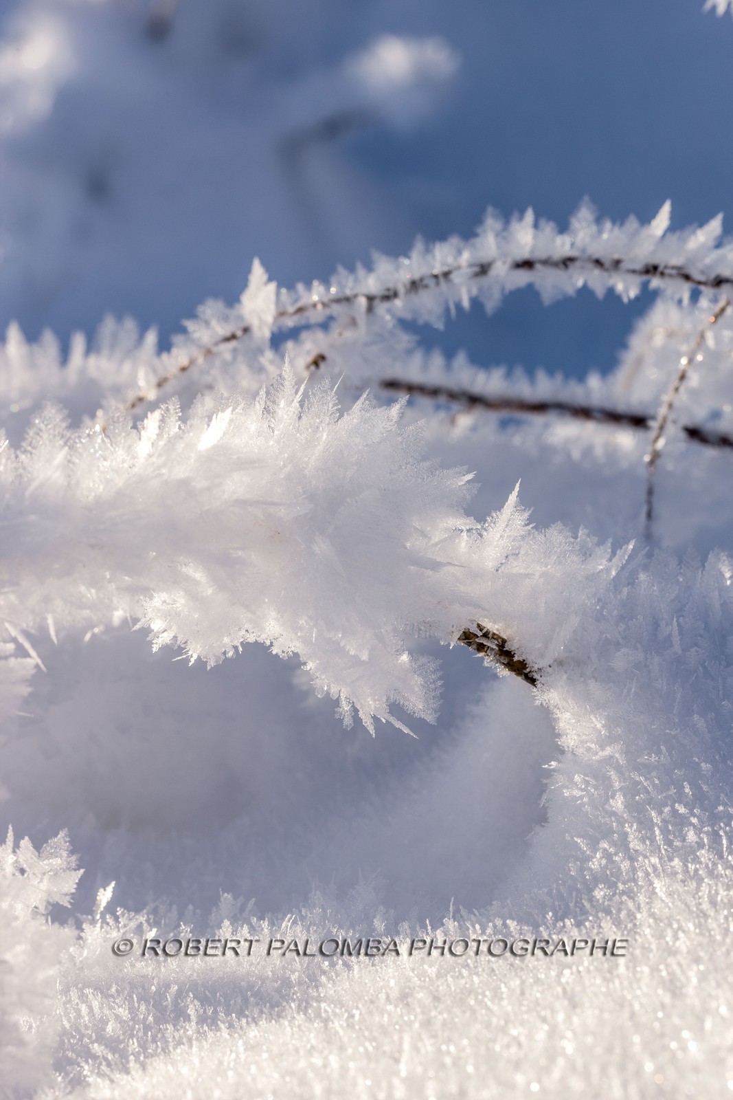 Cristaux de neige