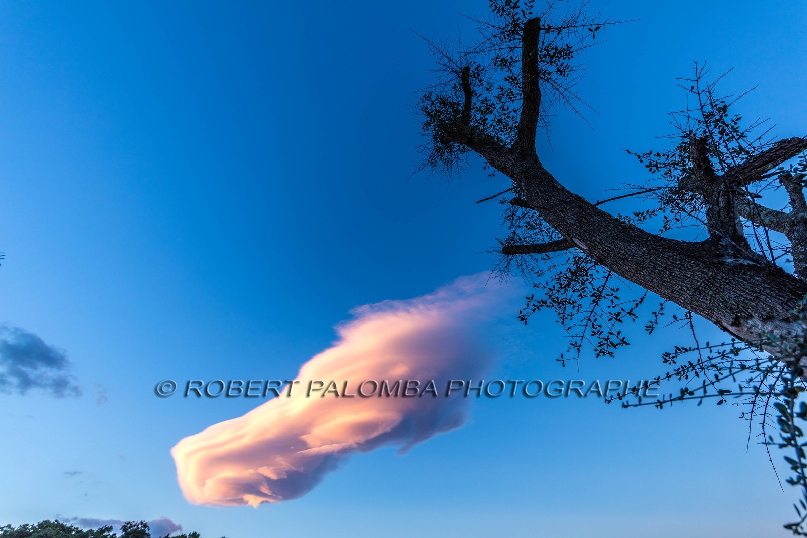 Lenticulaire