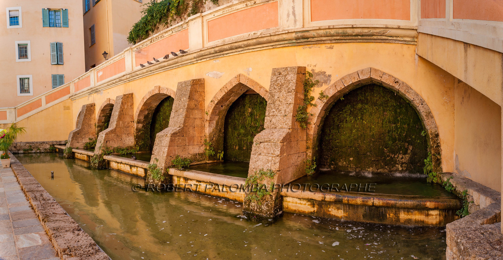 Grasse