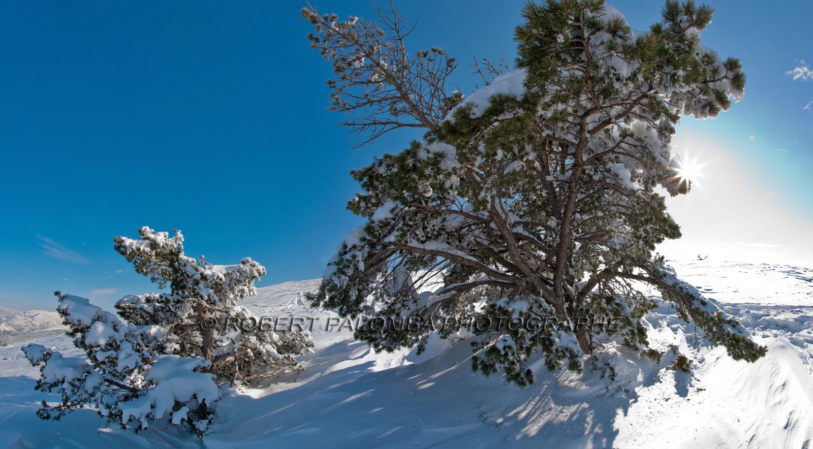 Paysage d'hiver