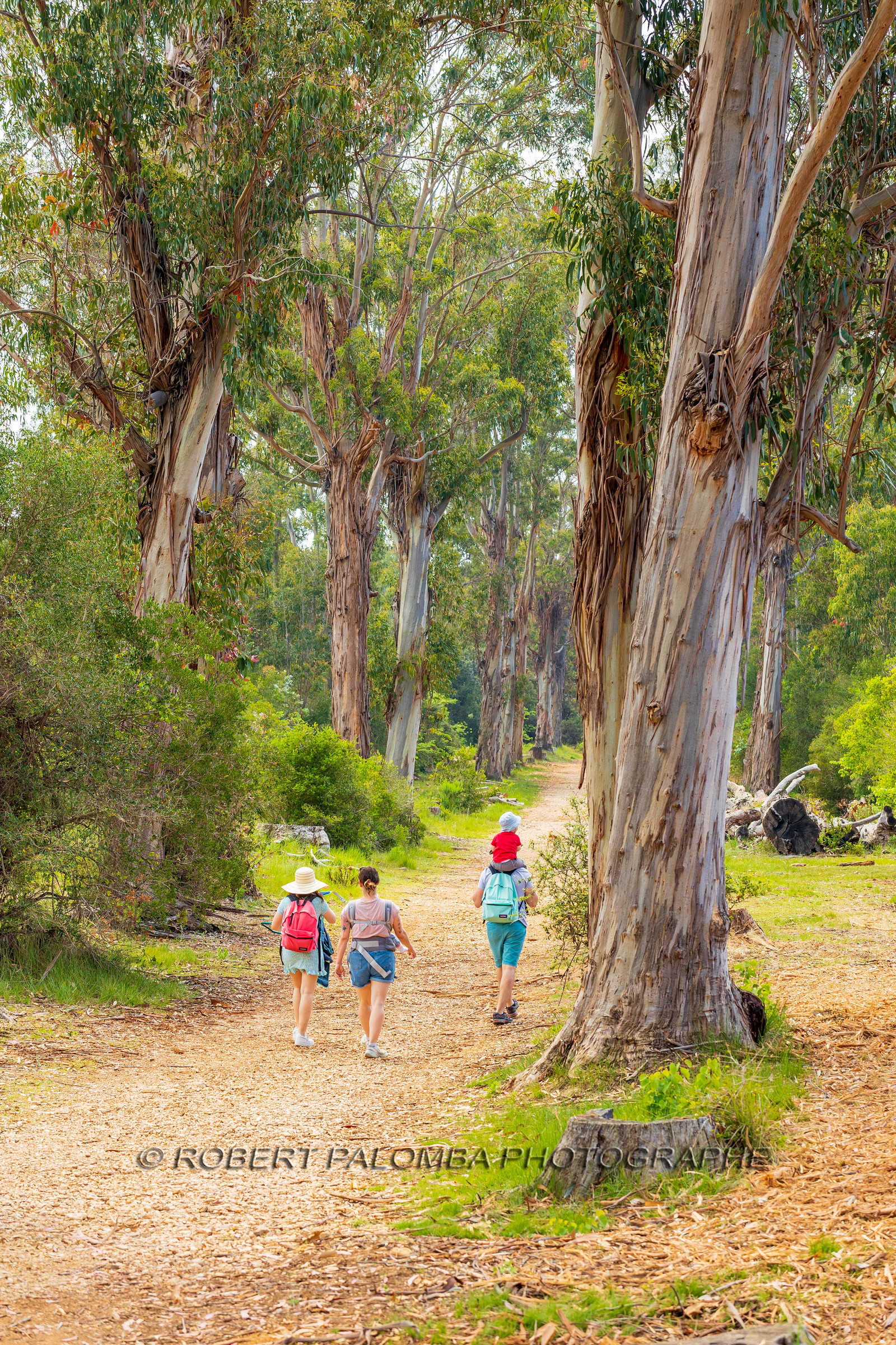 Lérins Sainte-Marguerite