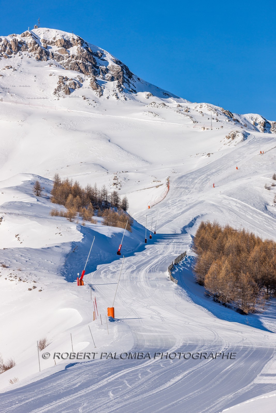 Auron