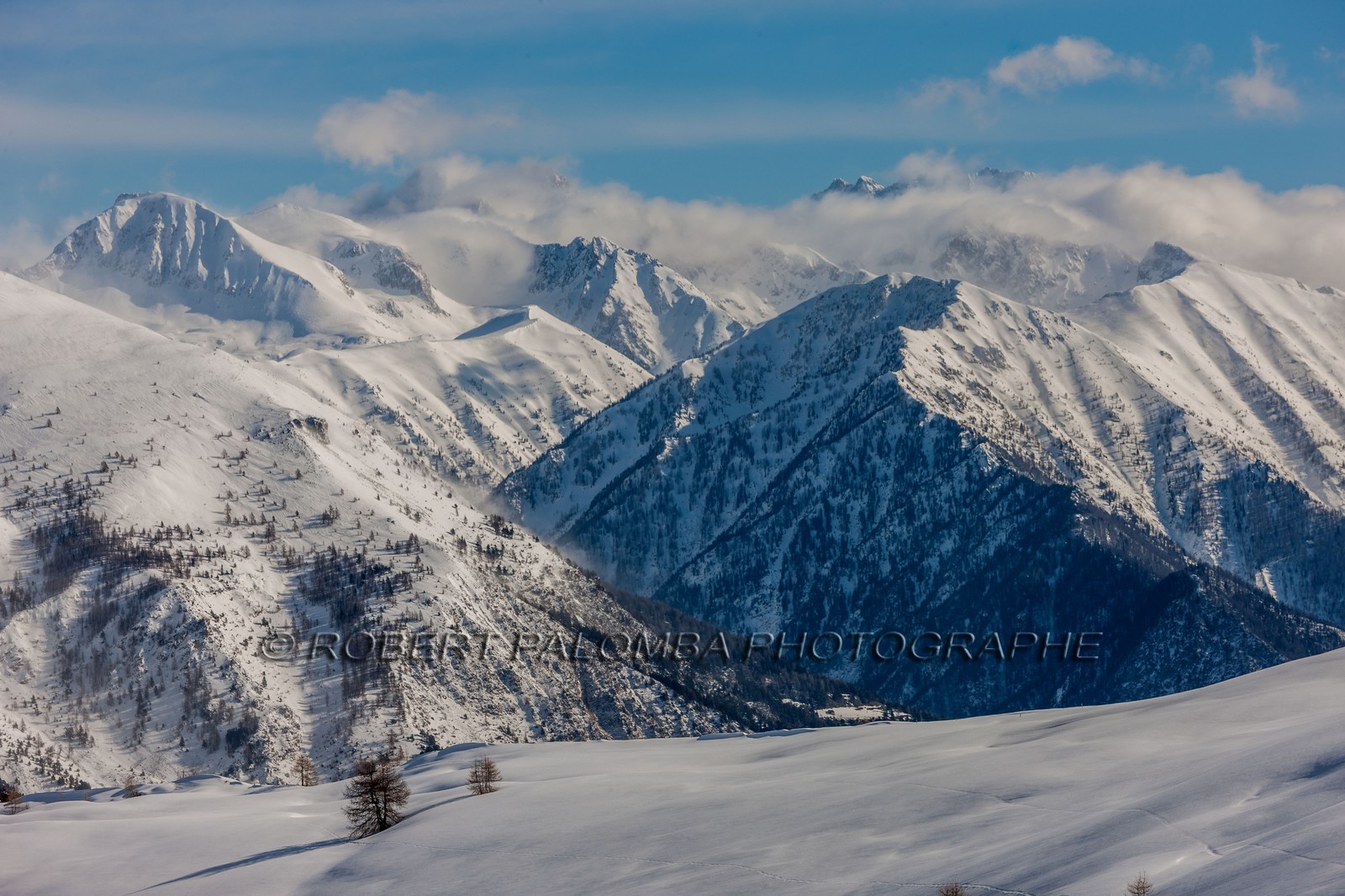 Auron