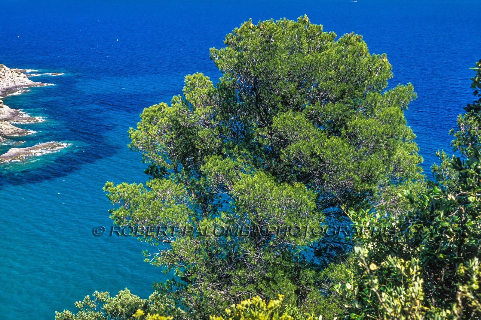 Cavalaire