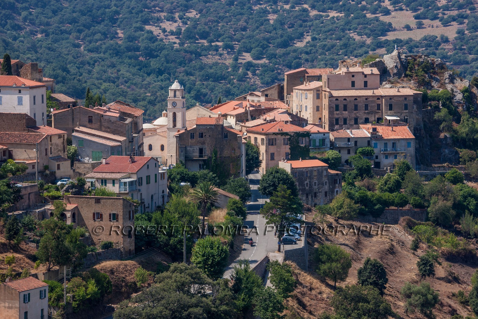Belgodère