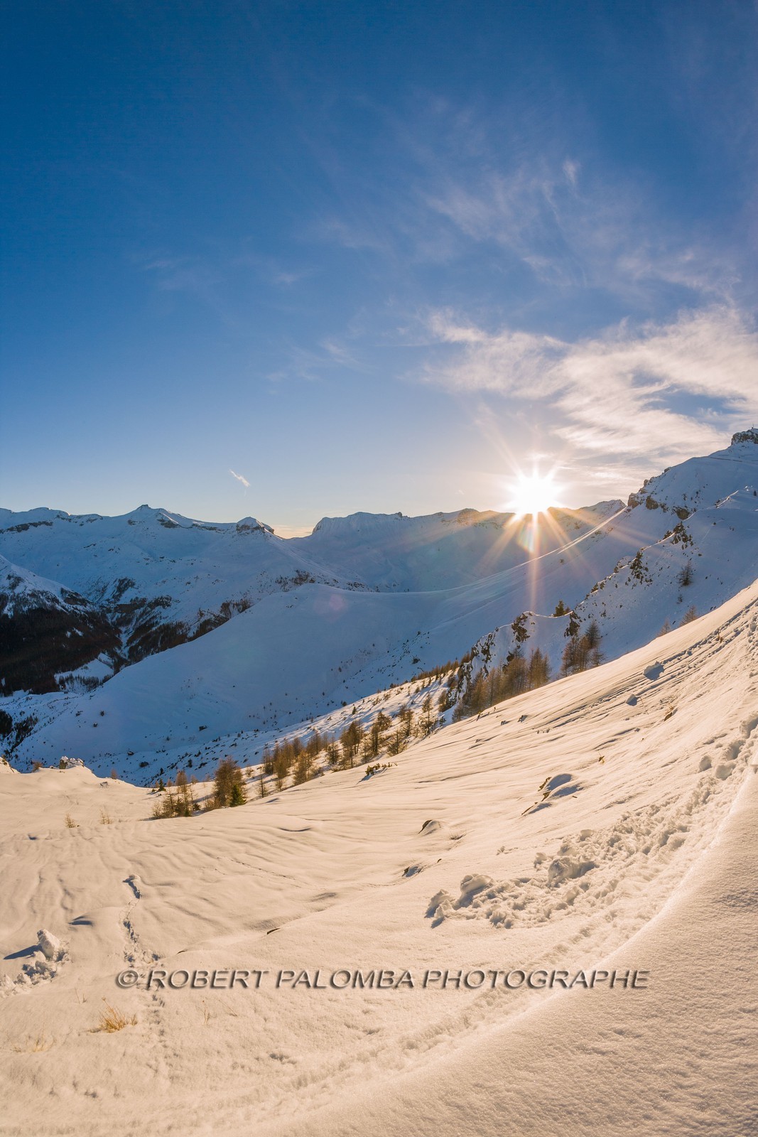 Auron