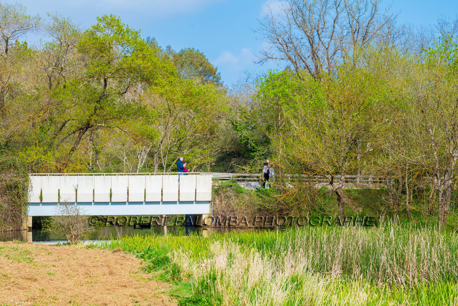Parc des Bouillides