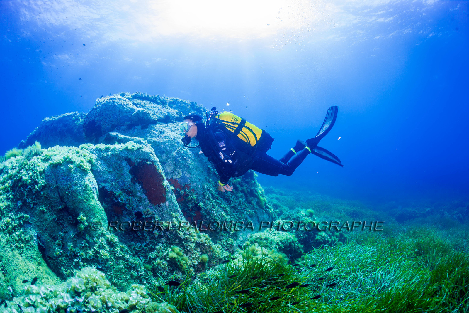 Plongée-sous-marine