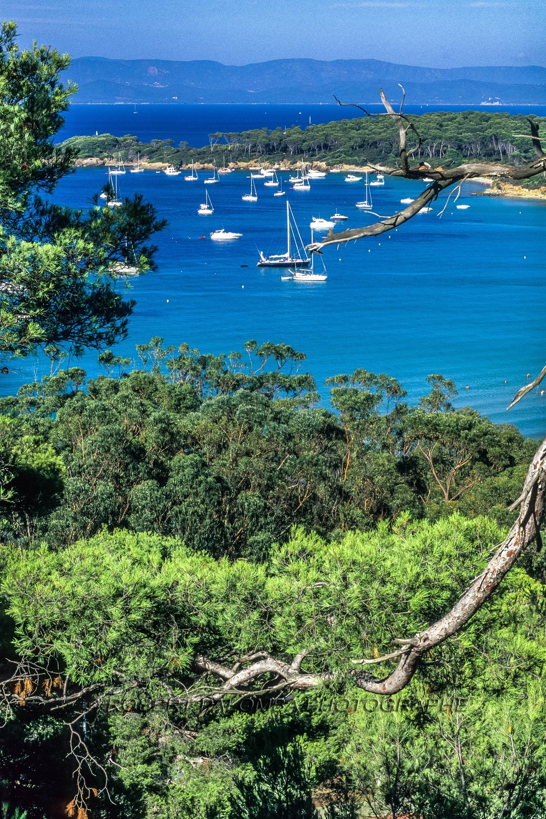 Porquerolles