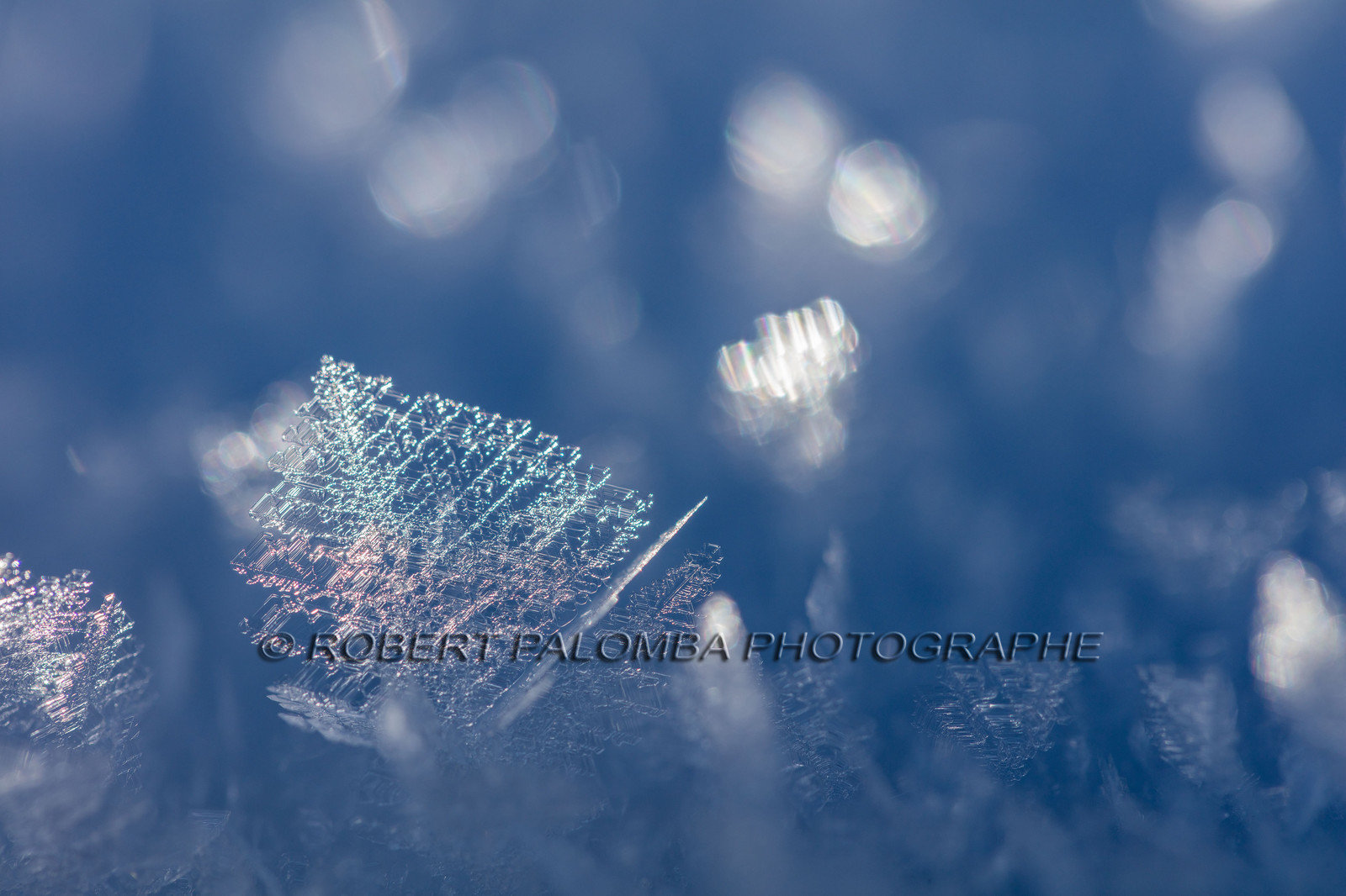 Cristaux de neige