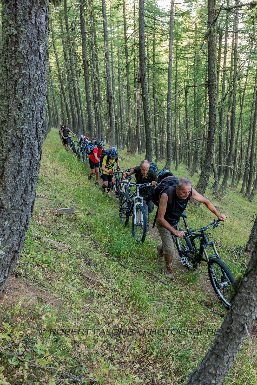 Rando Vtt Lacs de Lignin Rando Vtt Lacs de Lignin