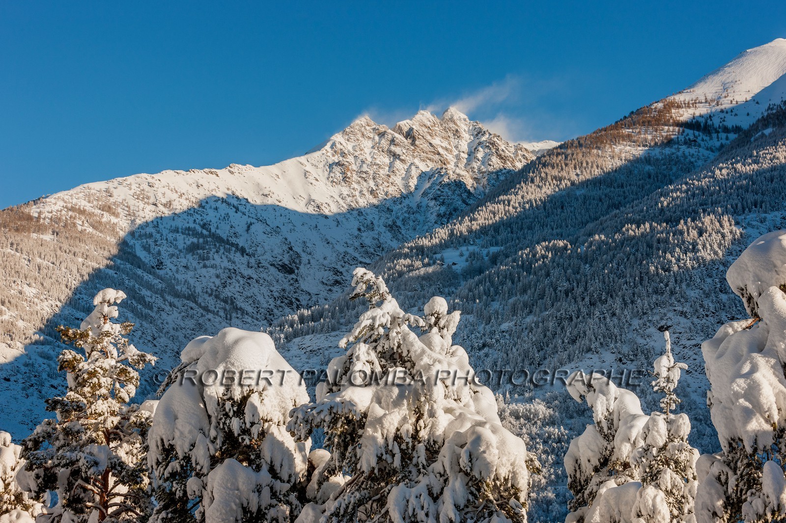 Auron