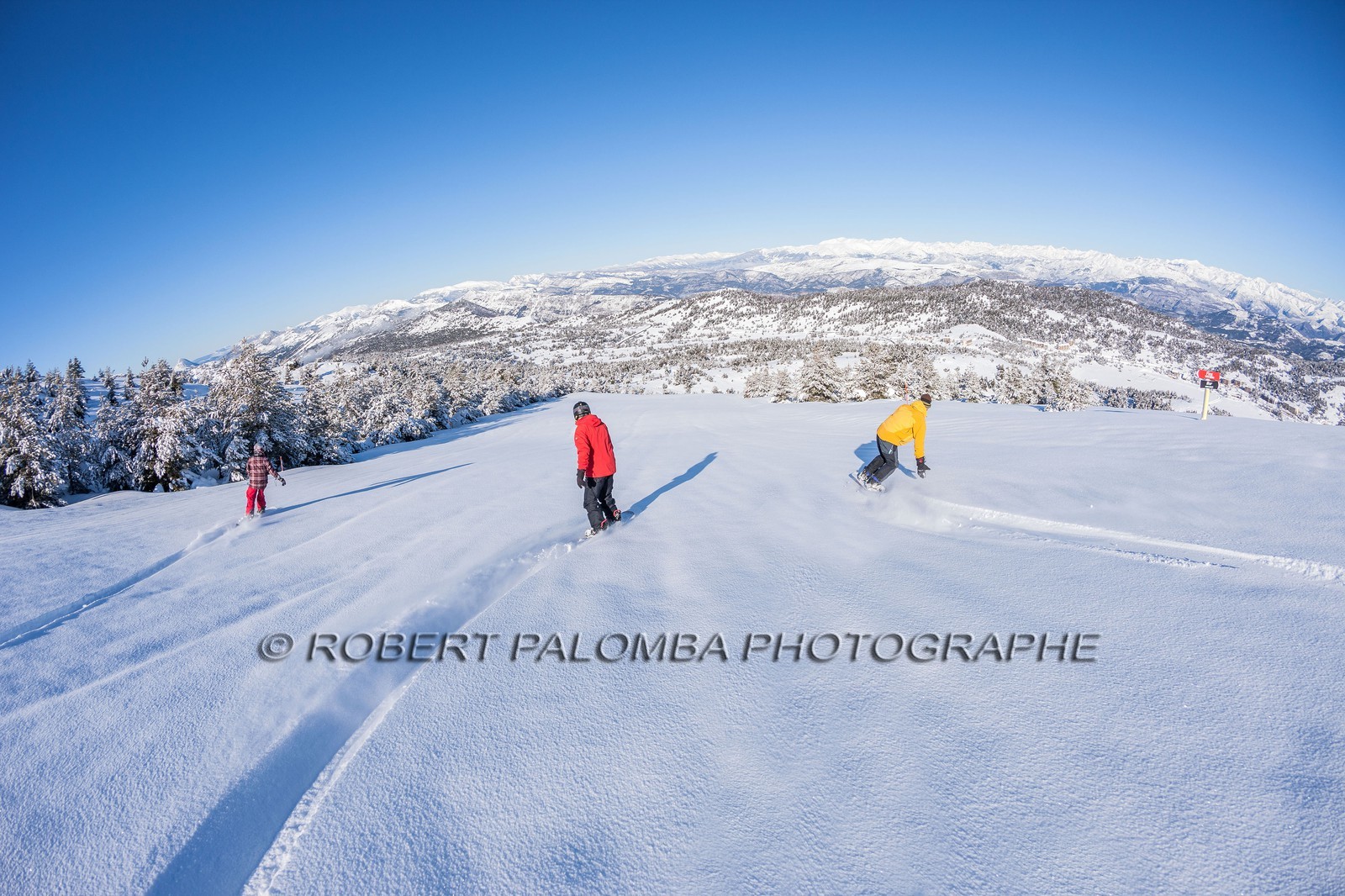 Snowboard