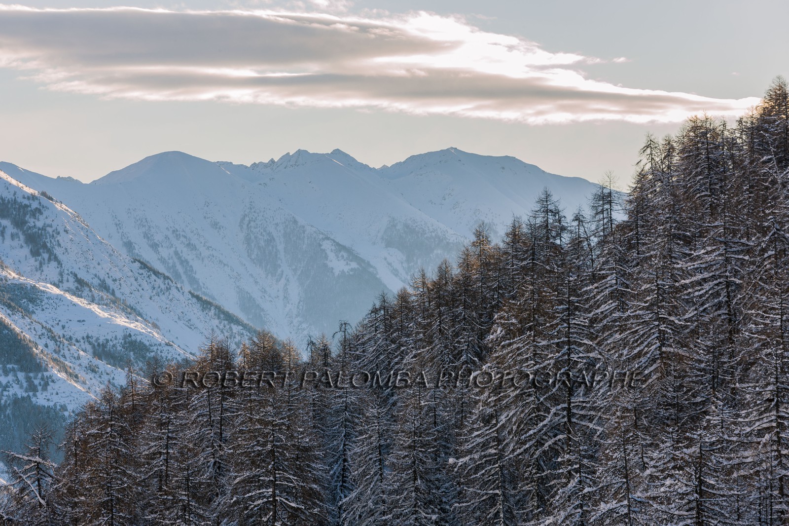 Auron
