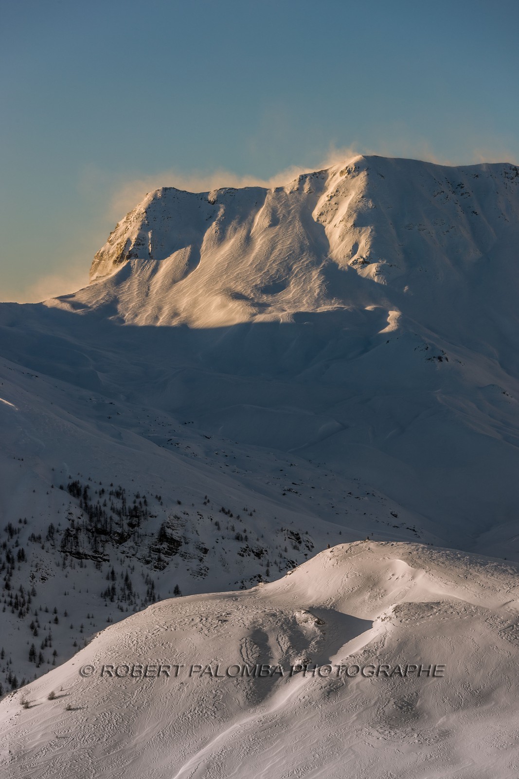 Auron