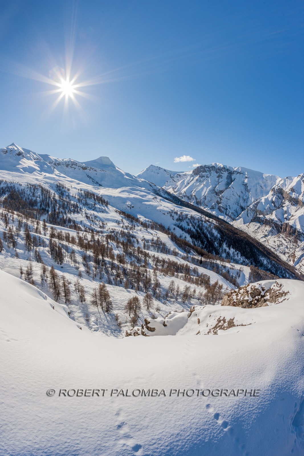 Auron