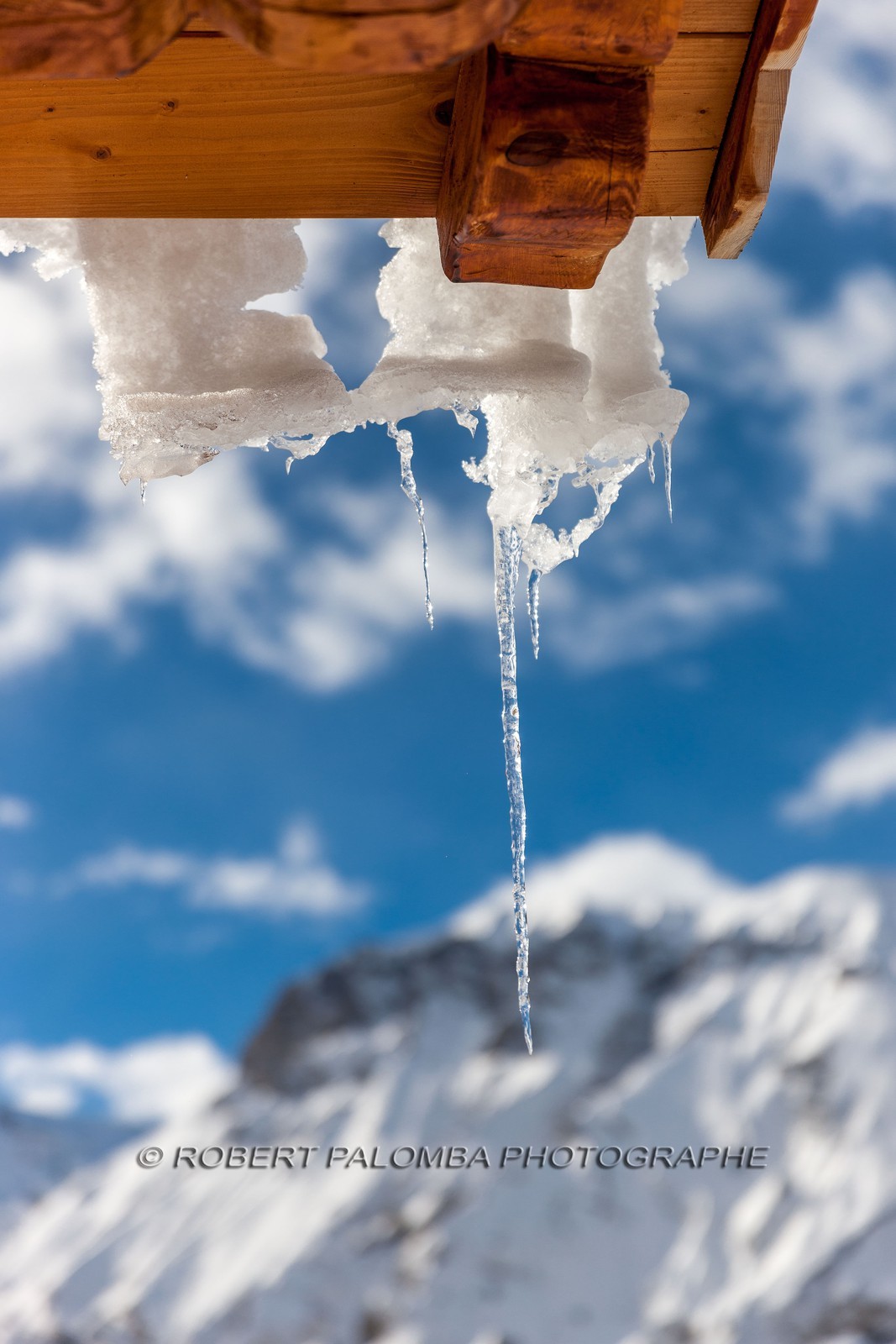 Auron