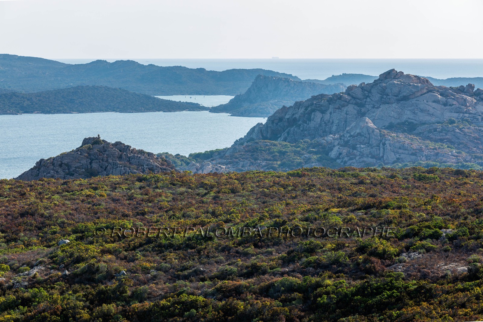 Palau