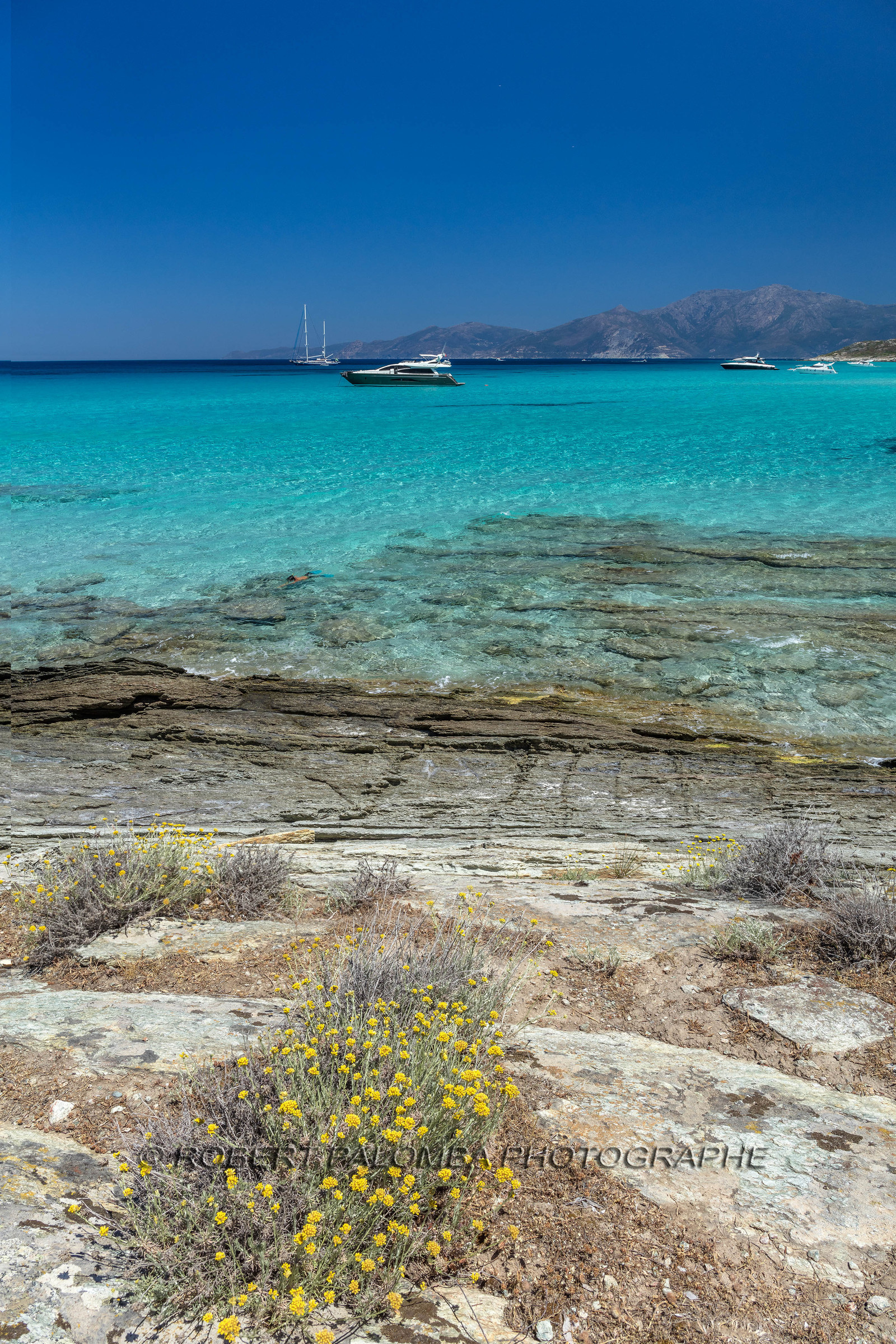 Saleccia