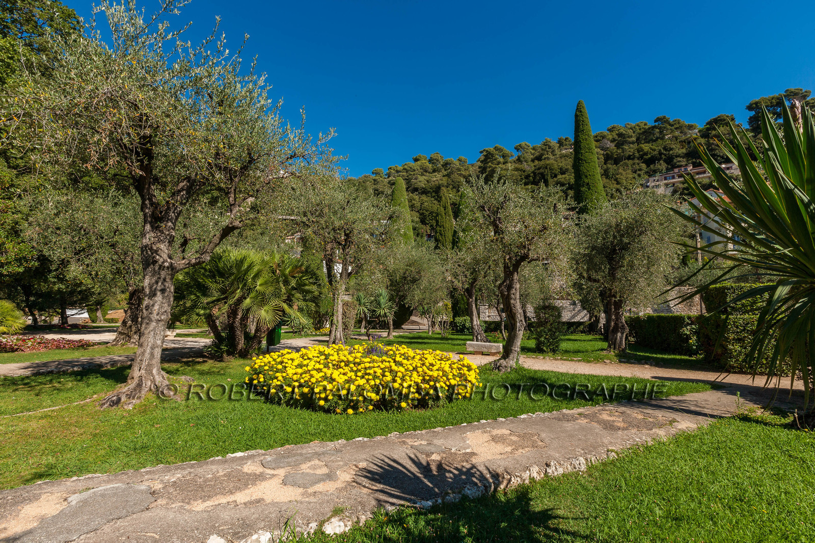 Grasse