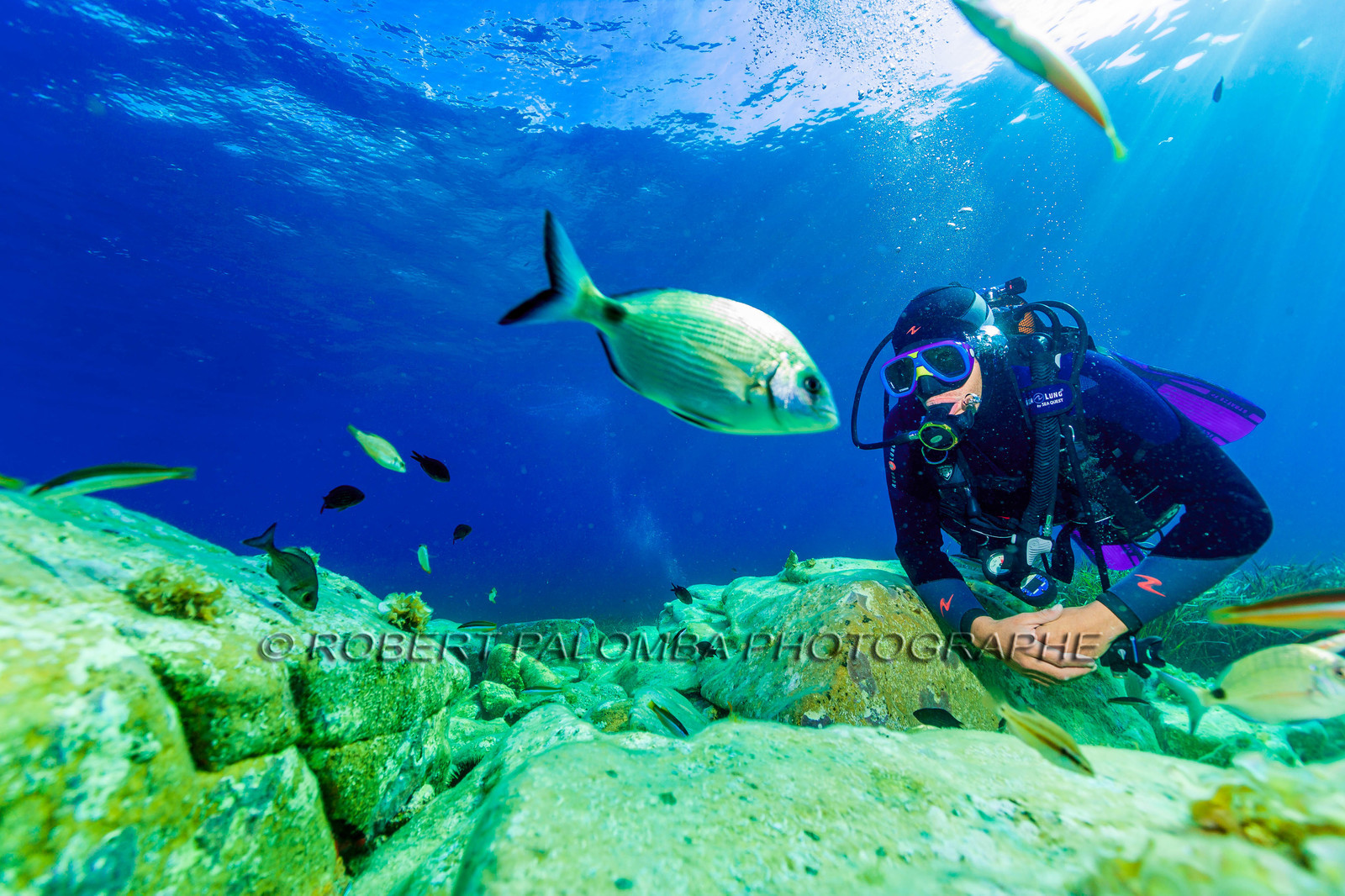 Plongée-sous-marine