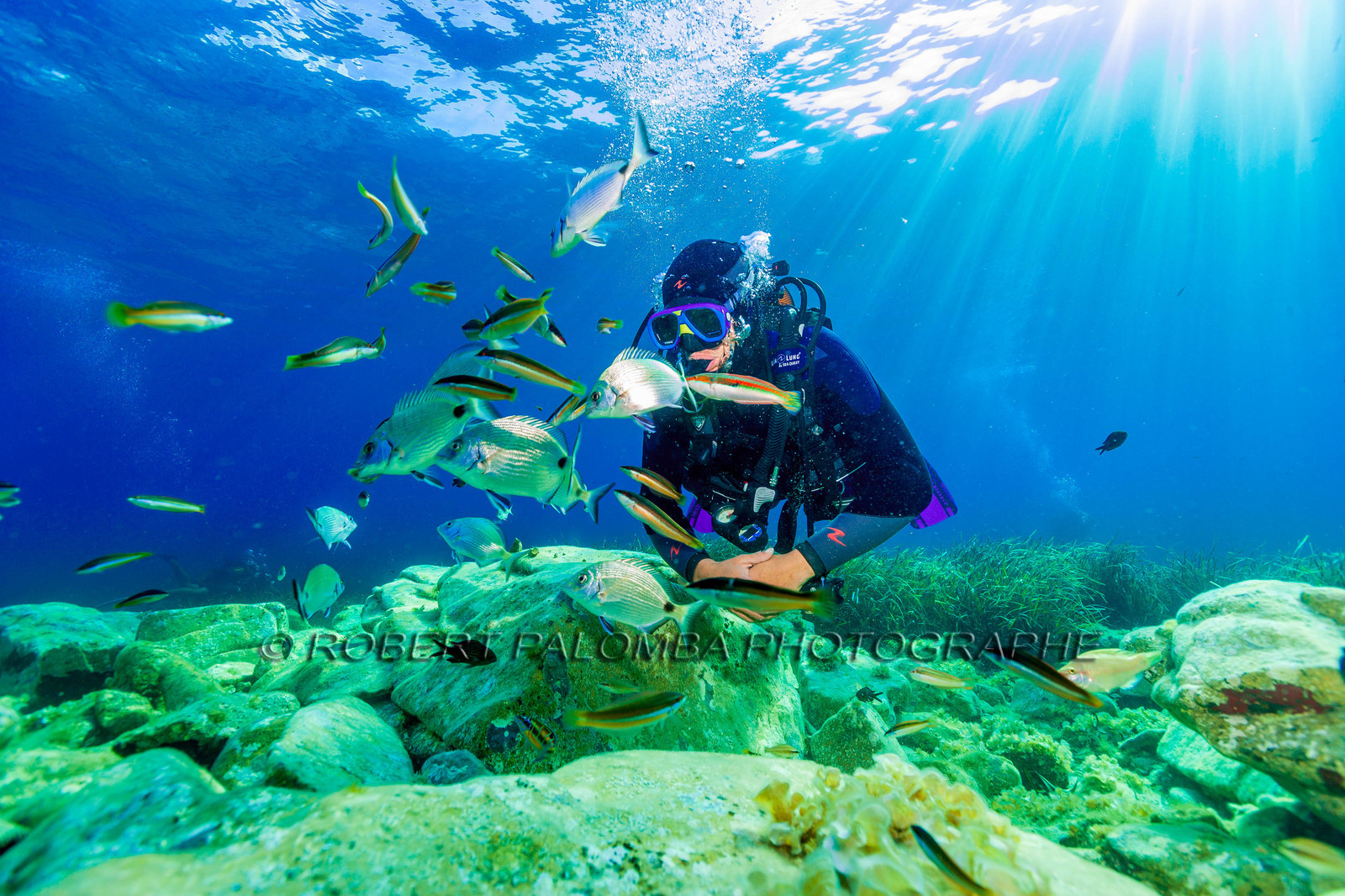 Plongée-sous-marine