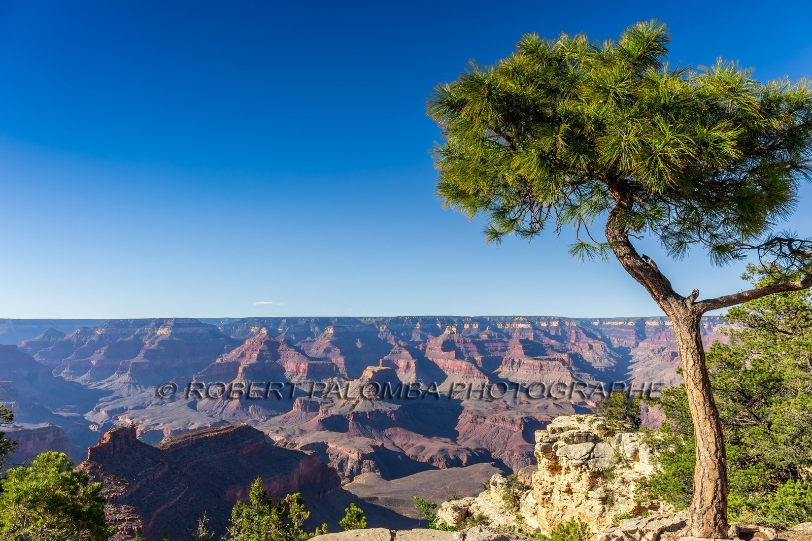 Grand Canyon
