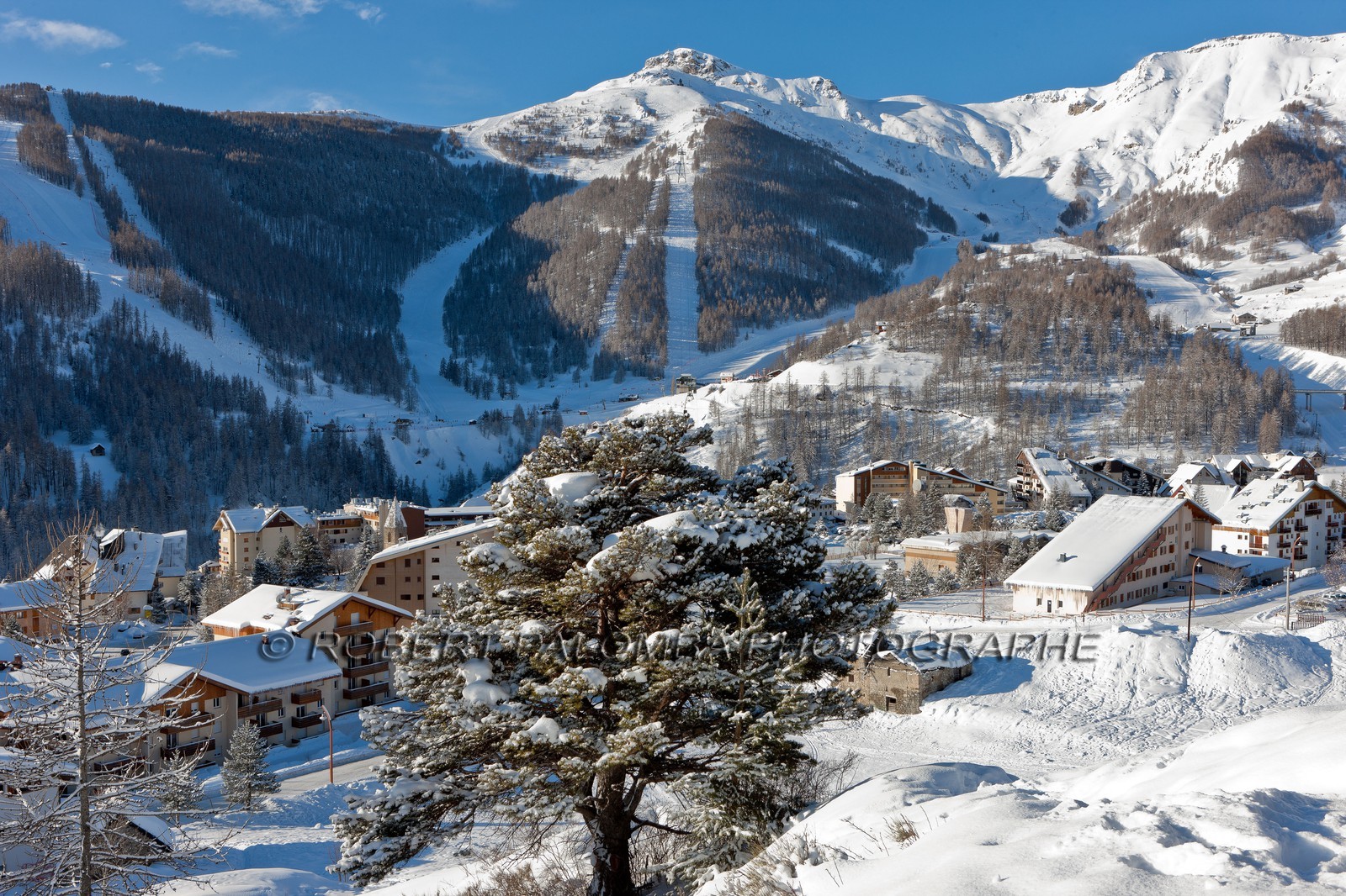 Auron