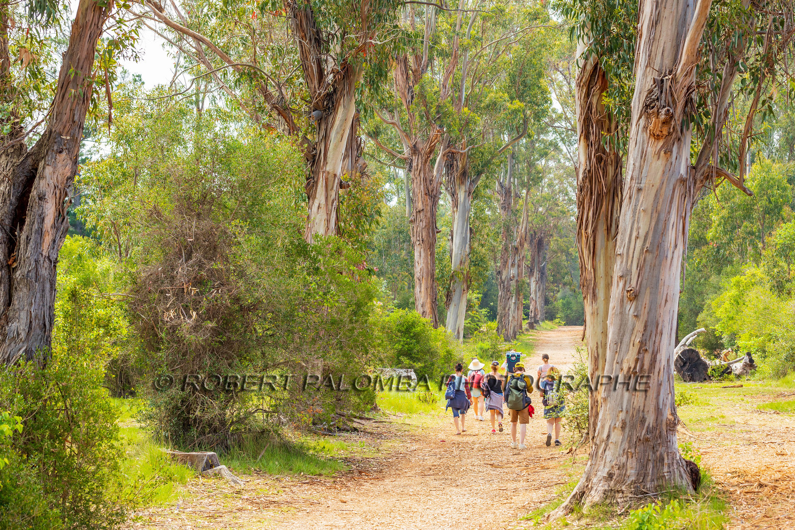 Lérins Sainte-Marguerite