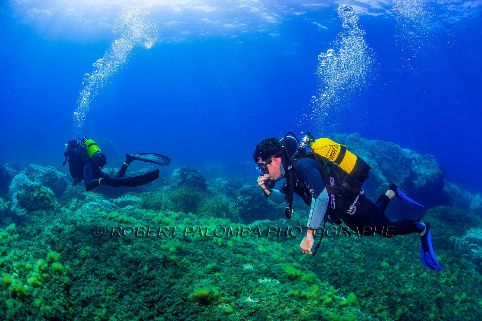Plongée-sous-marine