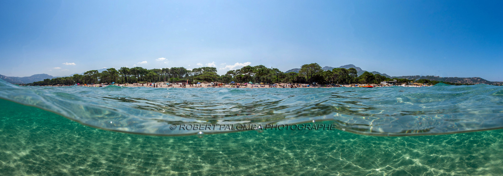 Calvi