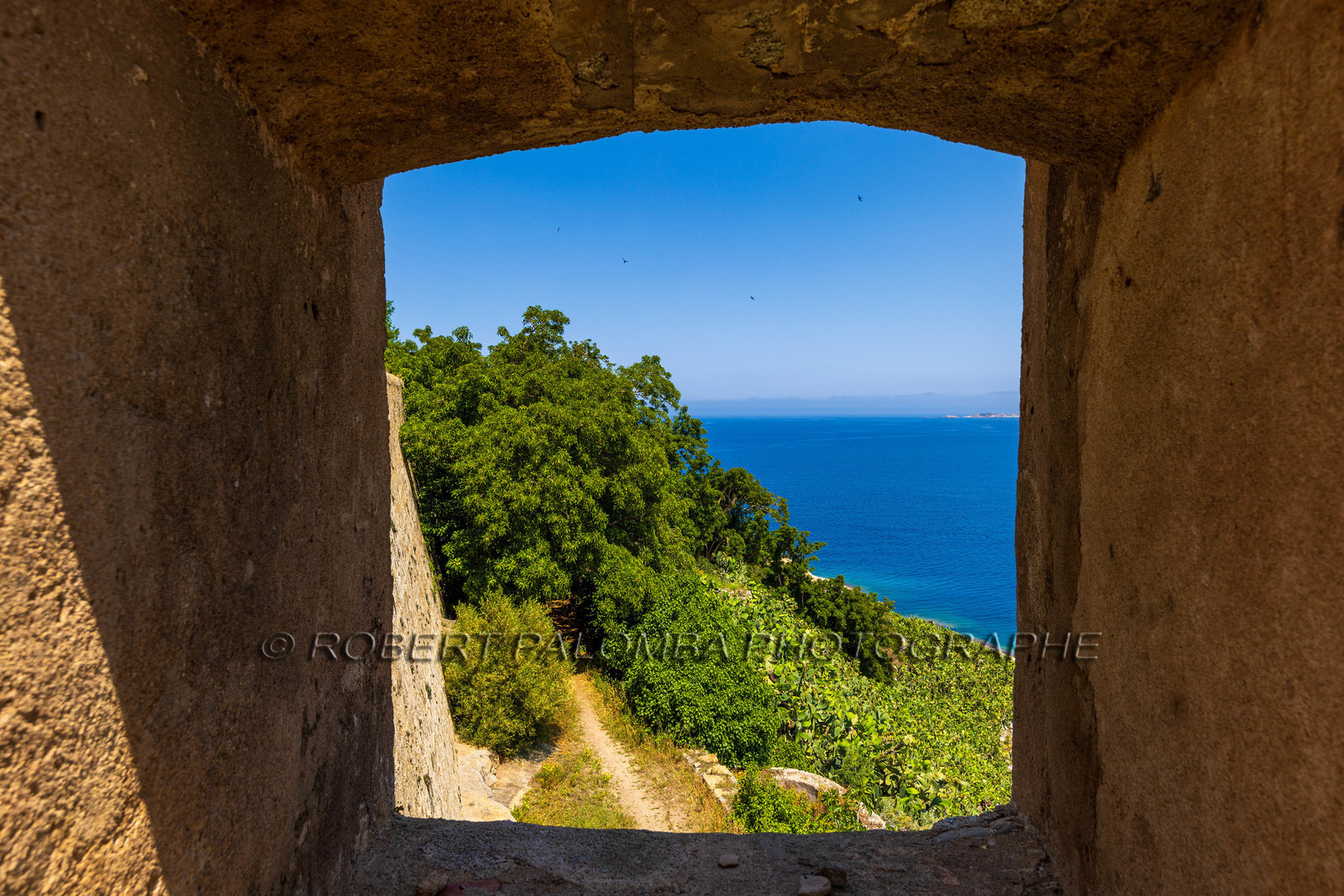 Calvi