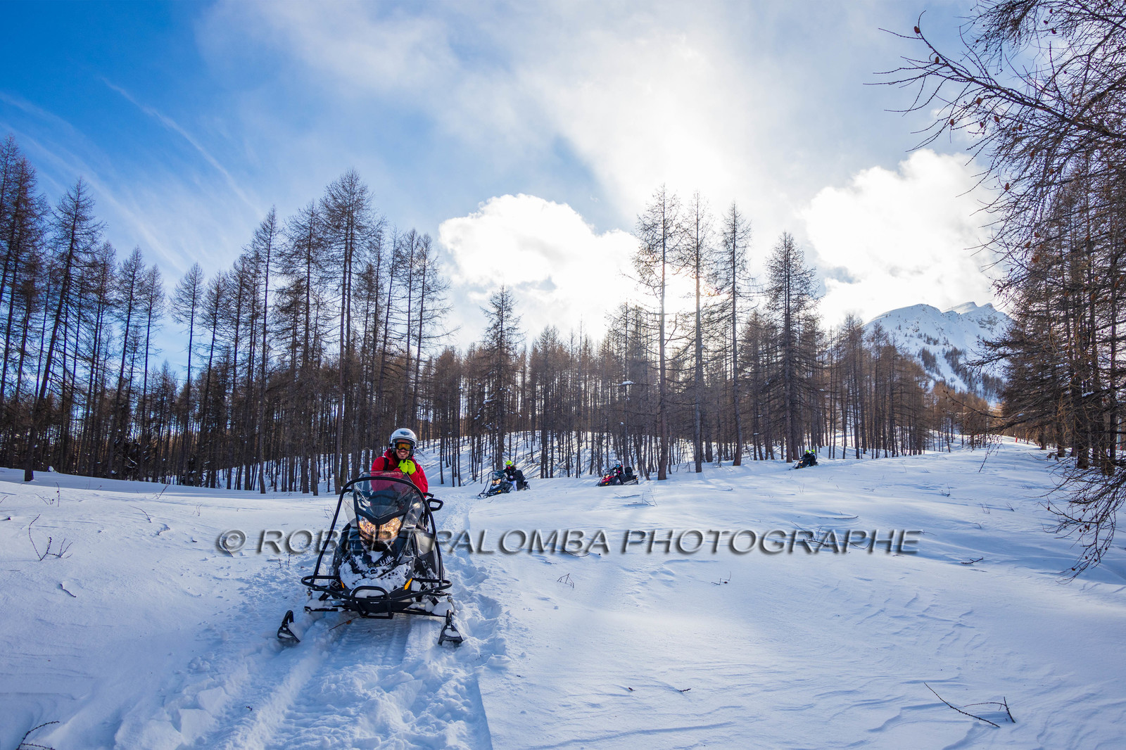 Skidoo
