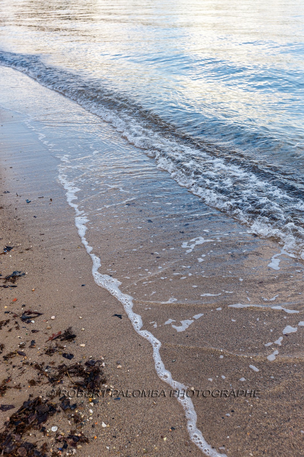 La Seyne-sur-Mer.