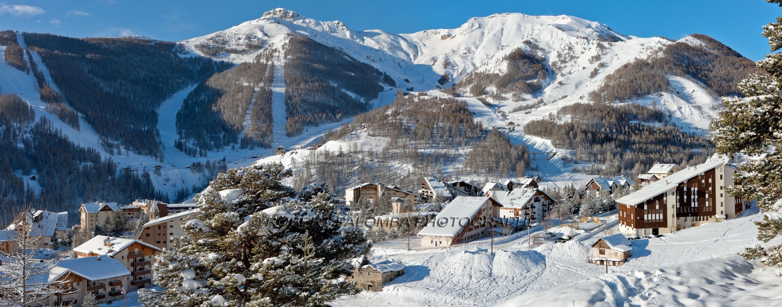 Auron