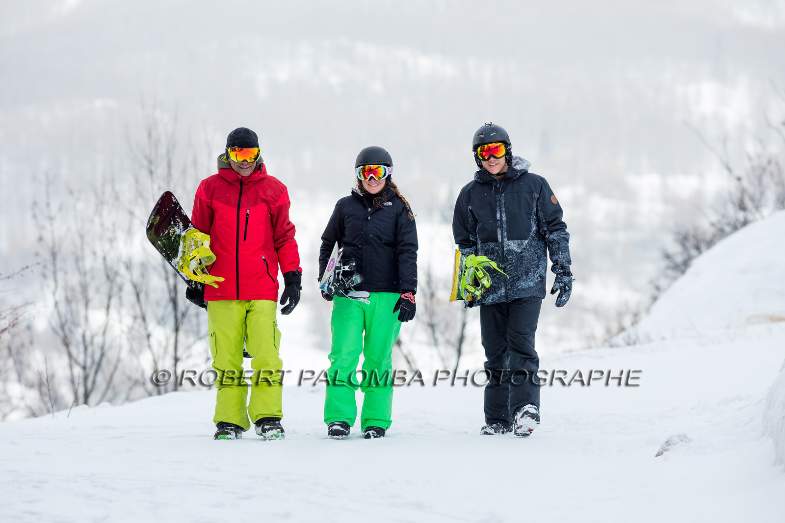 Snowboard
