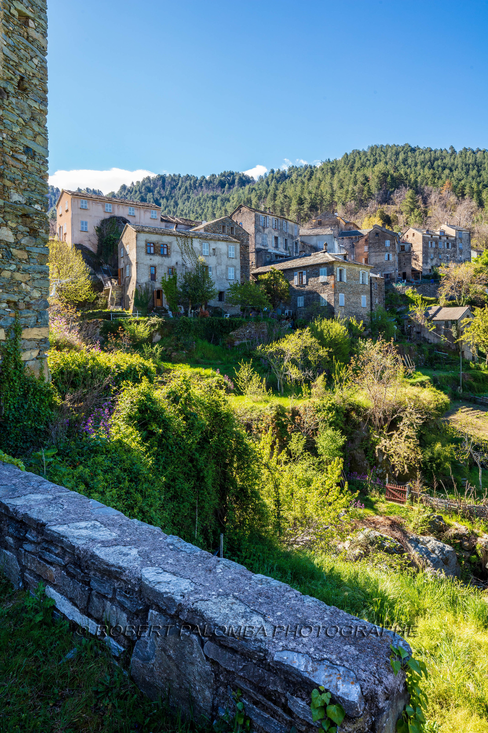 Saliceto