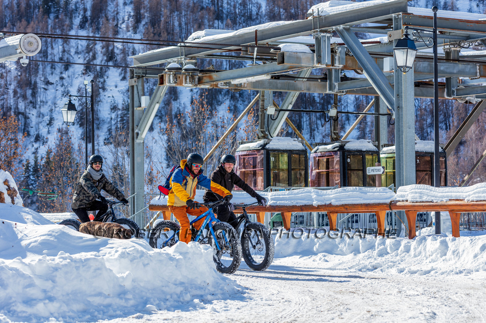 Fat Bike