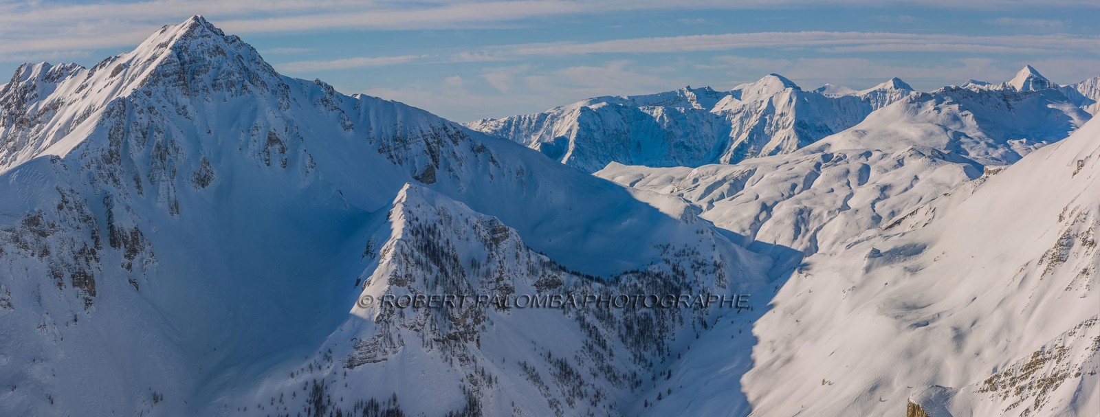 Auron