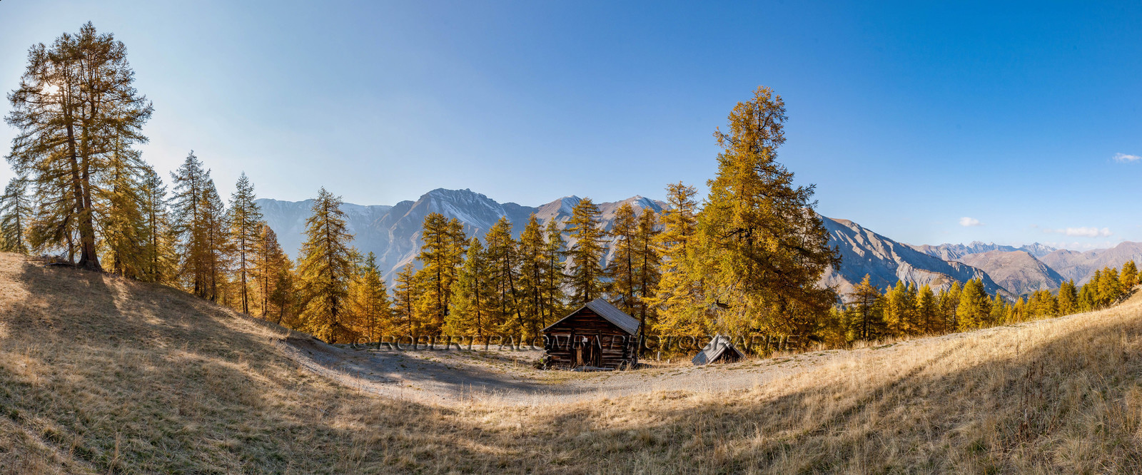 Auron