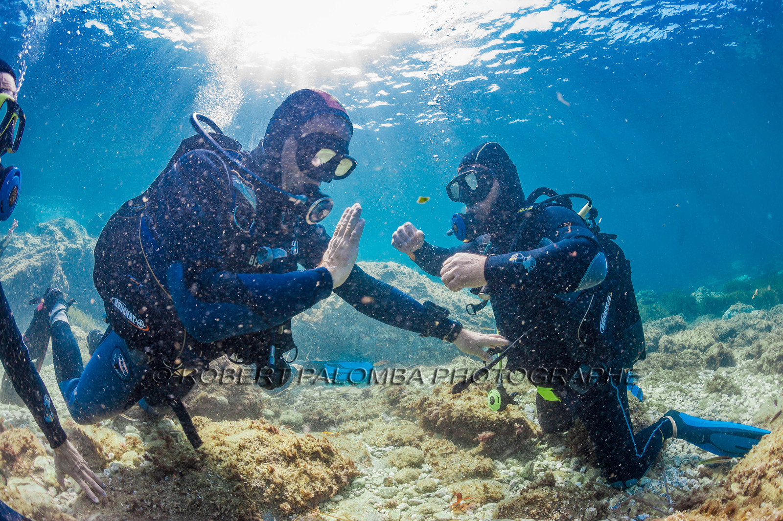 Plongée sous-marine