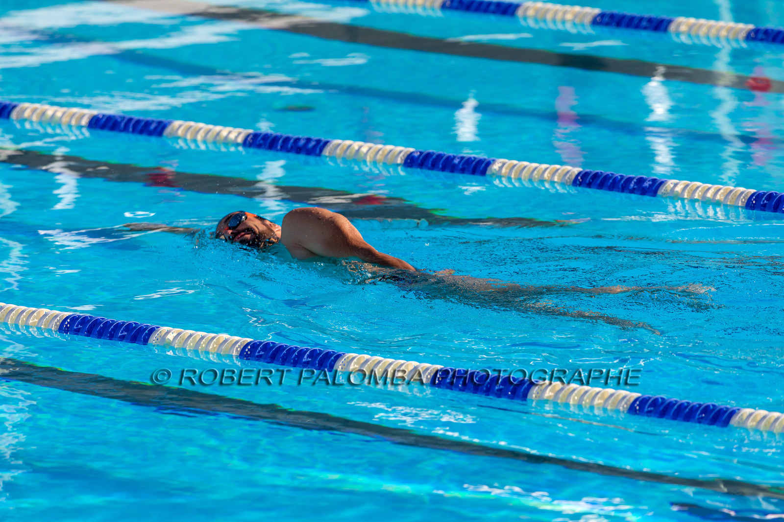 Natation