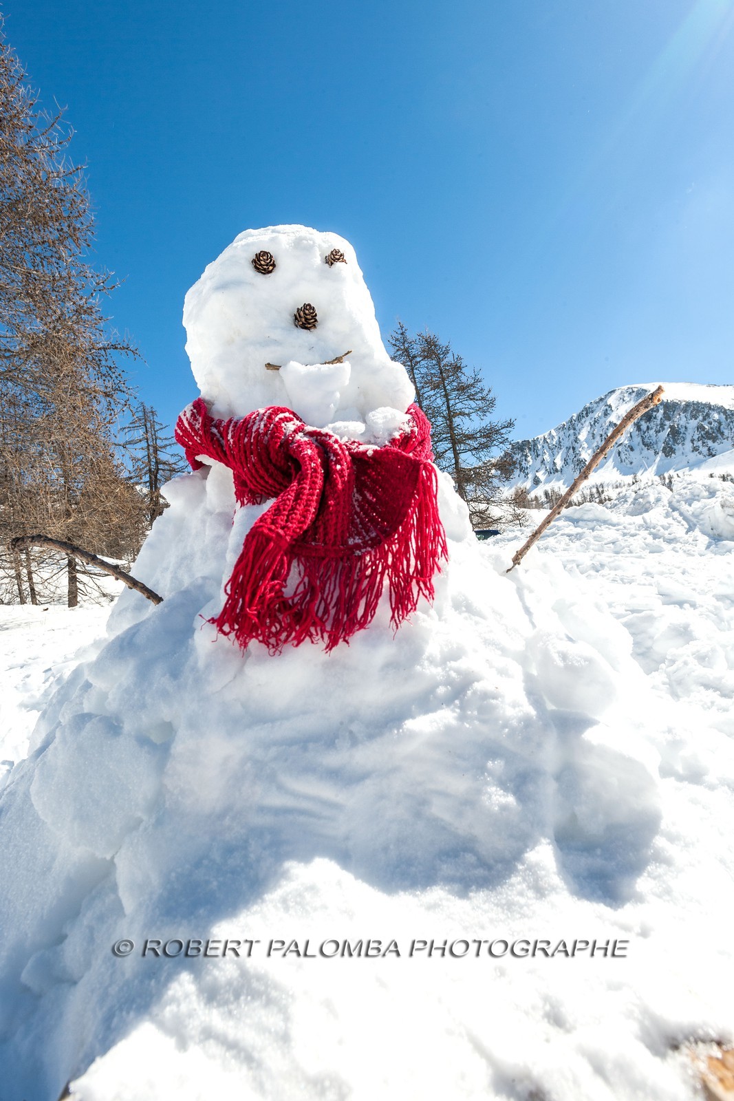 Bonhomme de neige