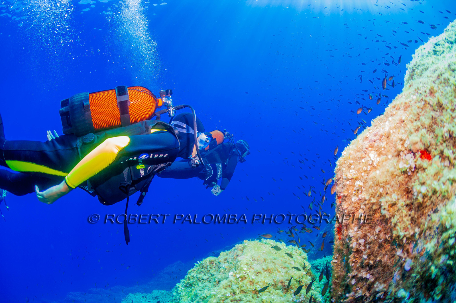 Plongée-sous-marine