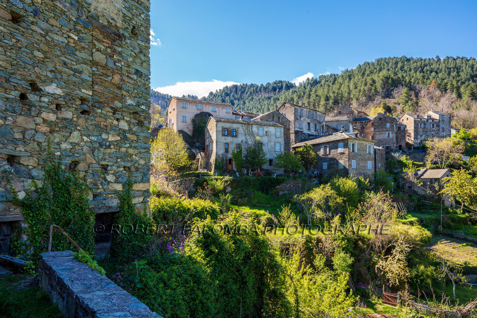 Saliceto
