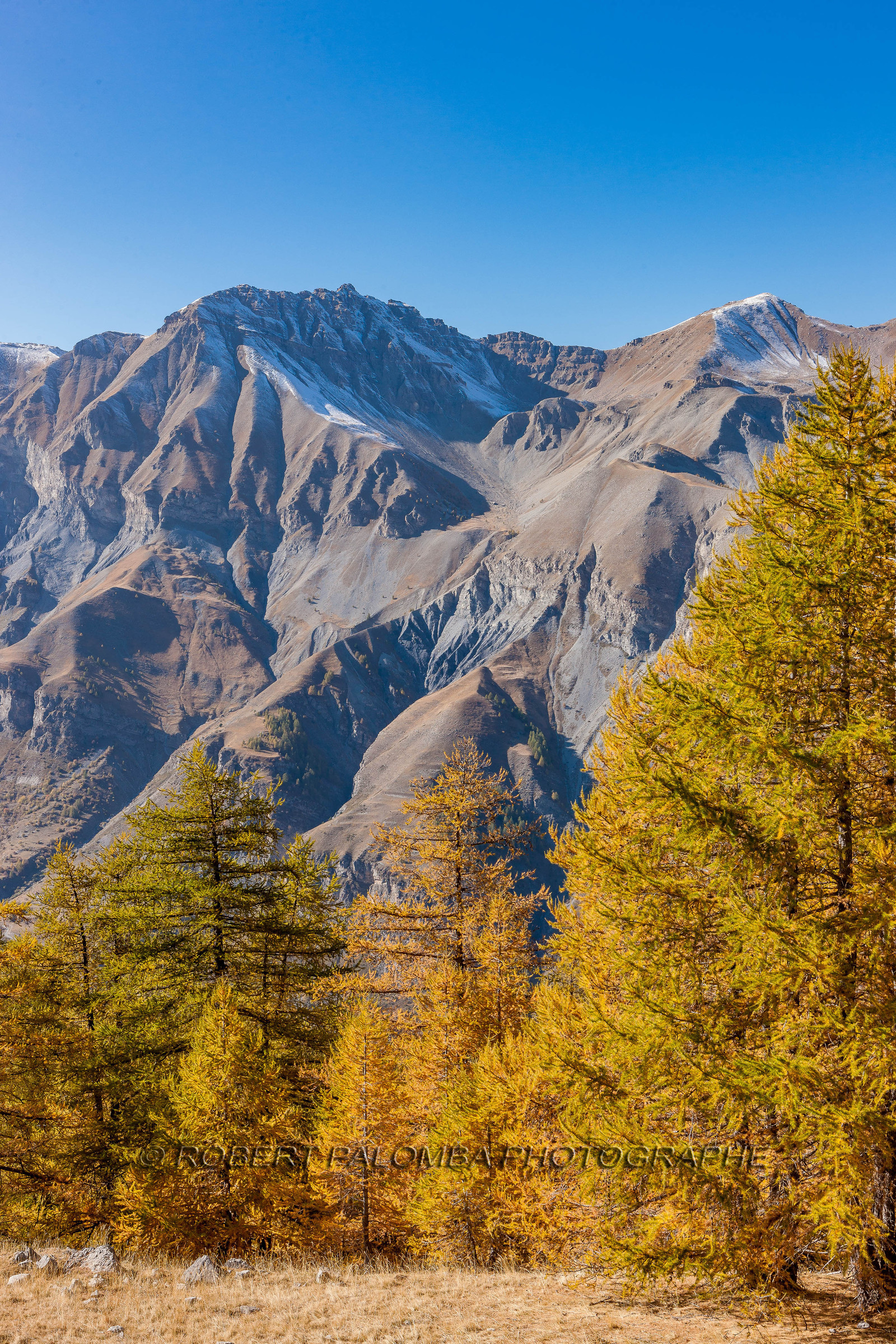 Auron