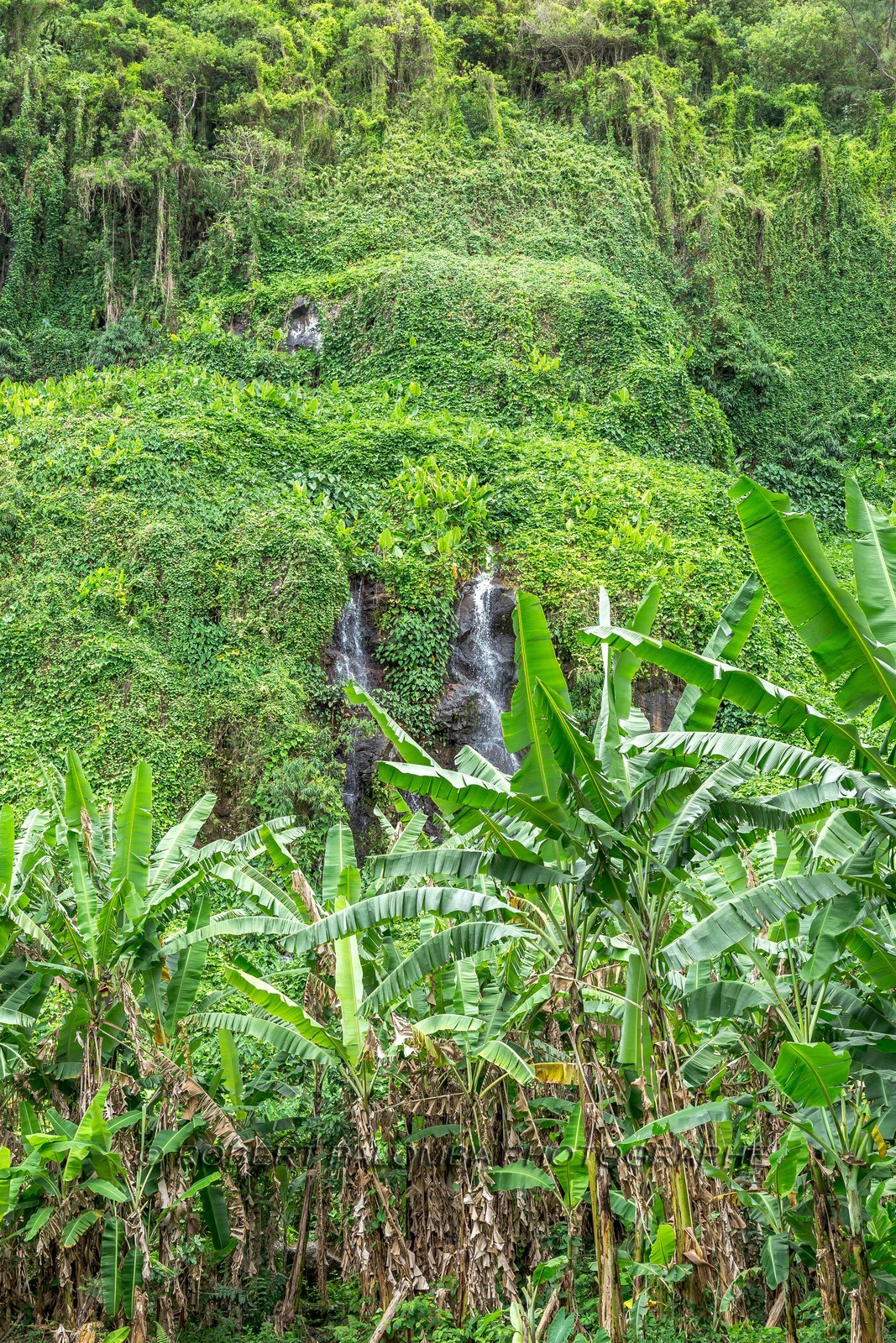 Ile de La Réunion