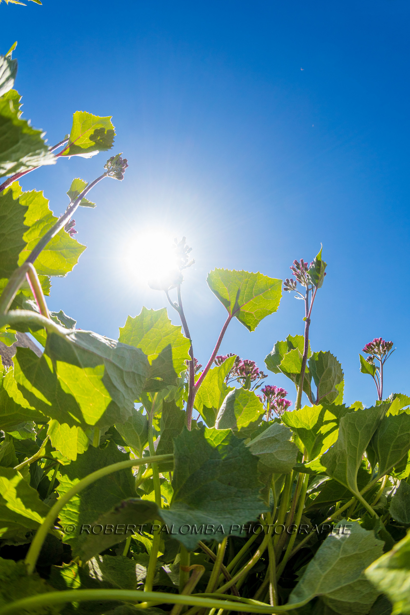 Rando des trois lacs